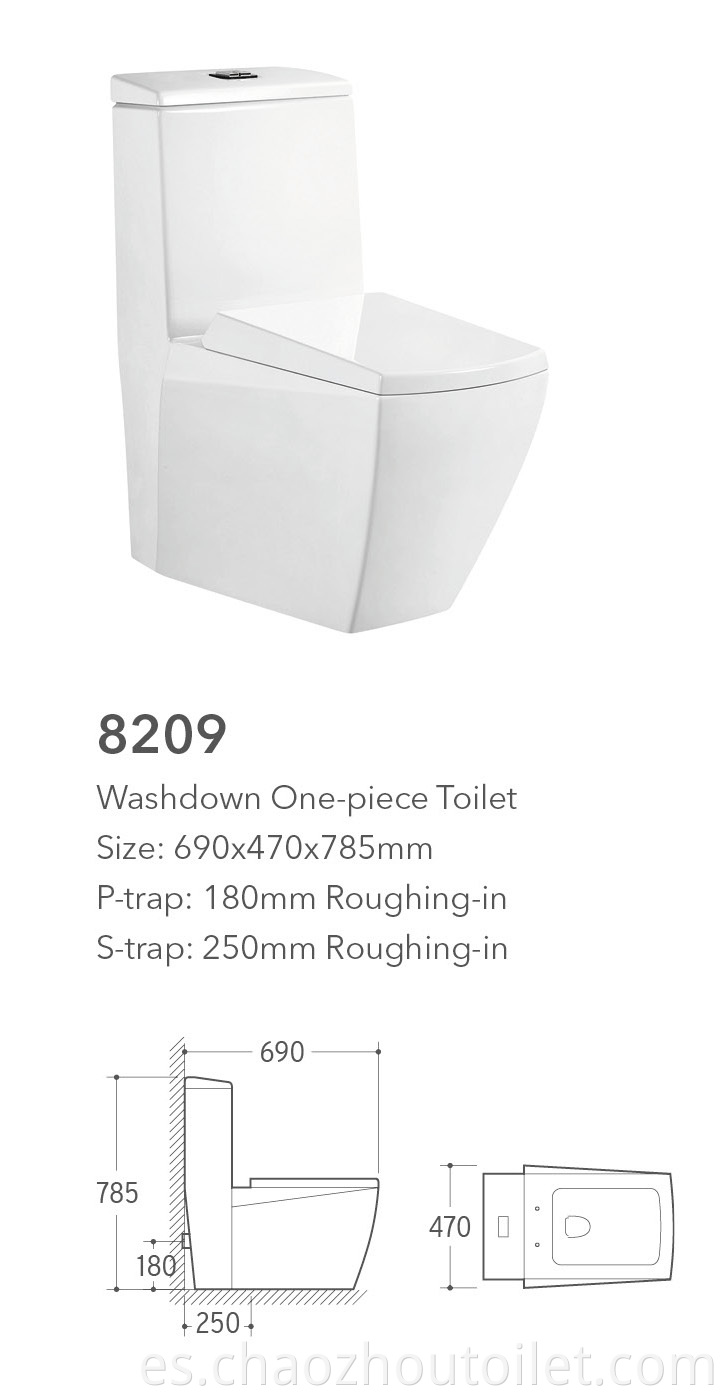 8209 One Piece Toilet